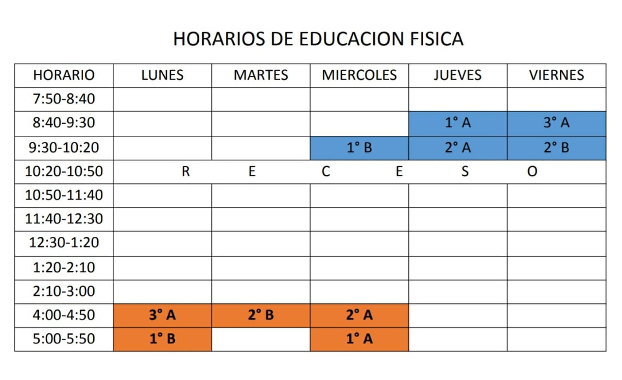 Educación Física | Instituto Terra Nova / Poniente